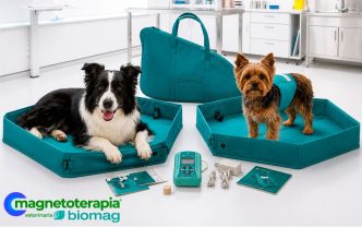 Tecnología 3D y salud animal: así funcionan los kits veterinarios de Magnetoterapia Biomag